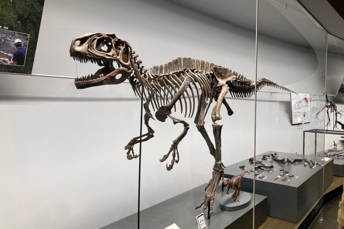 フクイラプトルいた！