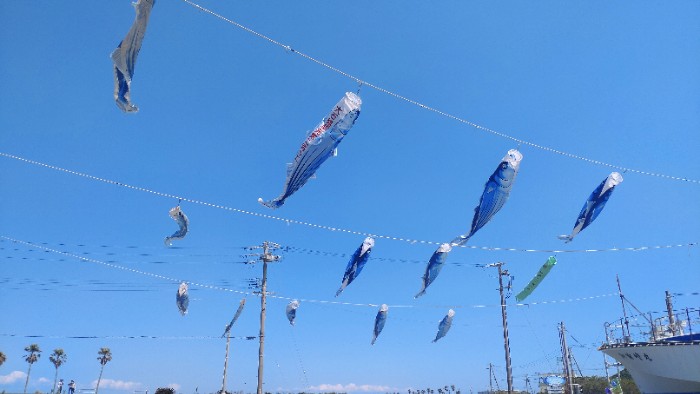 カツオのぼり