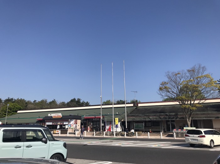 朝