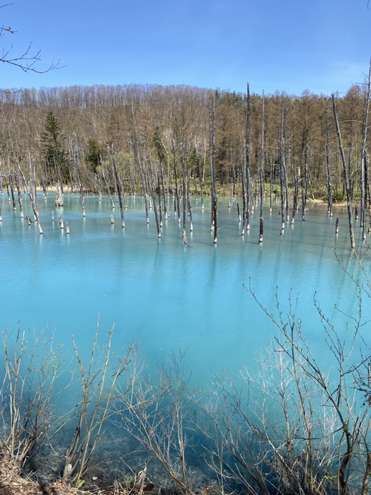 青い池⑧