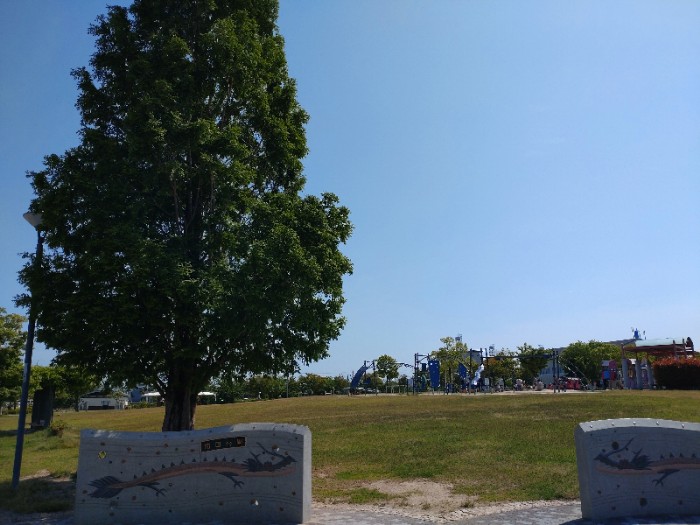 柿田公園