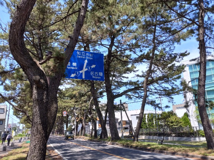 東海道松並木