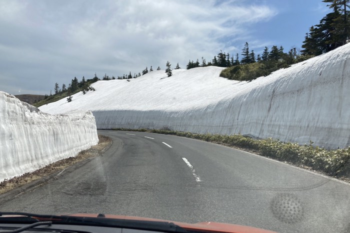 1番高いところはまだ雪壁残ってました