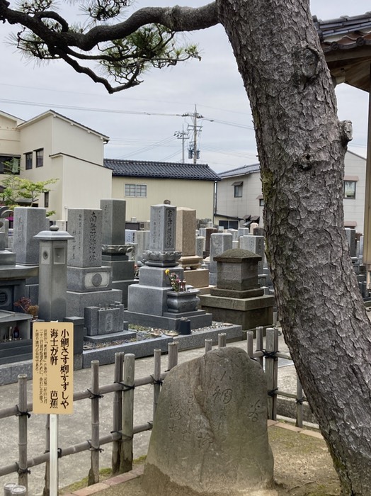 本龍寺の芭蕉の句碑