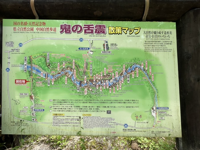 今日は歩けない