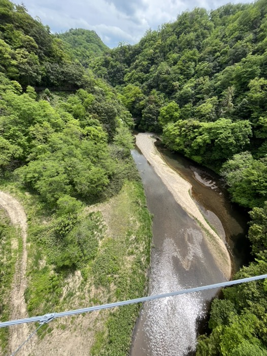 奥が面白いのに