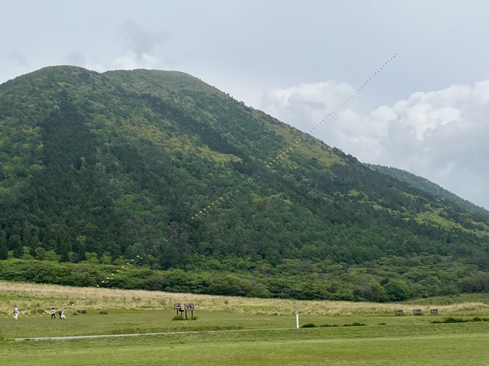連凧上揚げてる