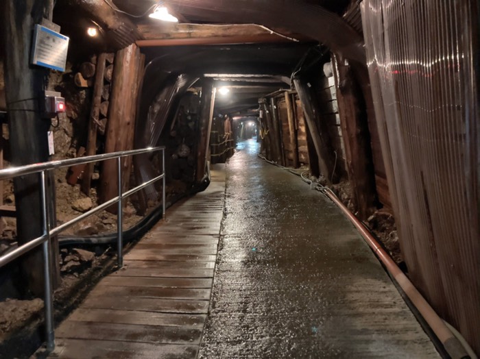 最後尾からのんびりとまわります