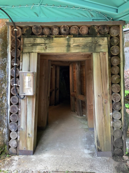 なかなかに楽しかったです