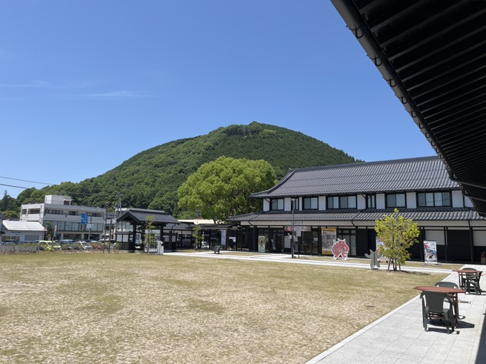 ソフトクリームいただいてます