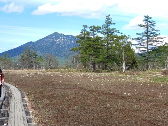 尾瀬ヶ原、燧ヶ岳
