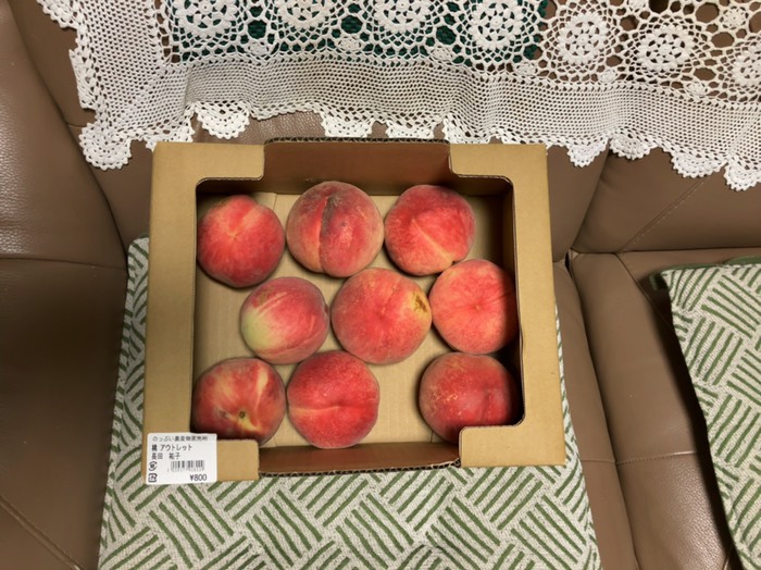 これで¥800はお得☺️