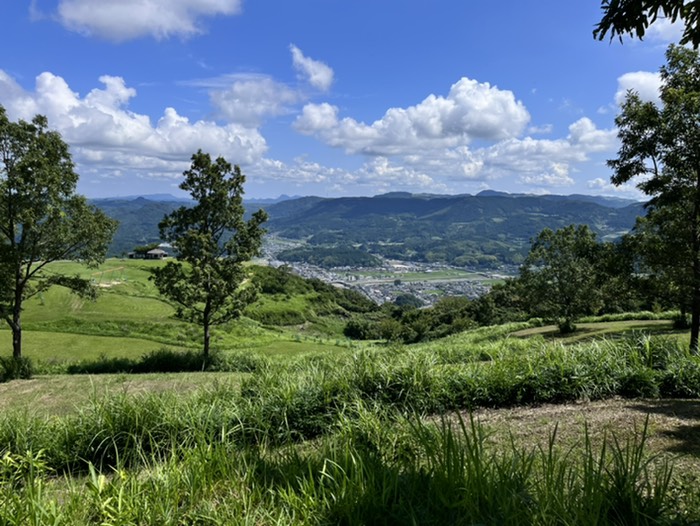 眺めよし！唐揚げうまし！