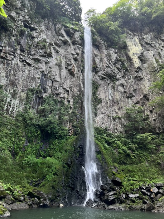 コーヒーをいただきながら