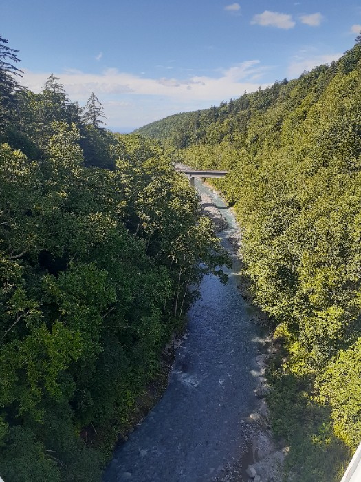 白ひげの滝の反対側の風景