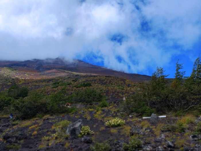 宝永火口ハイキング