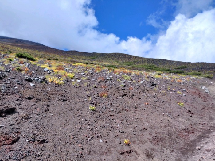 富士山 宝永火口へ