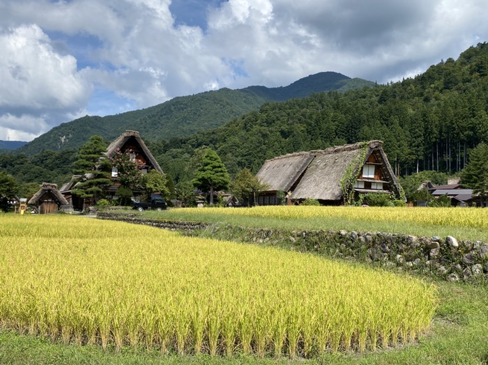 白川郷④