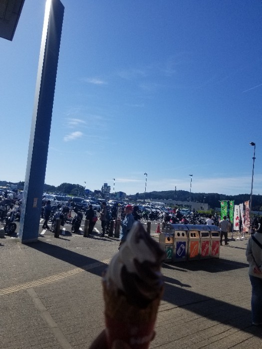 針テラスソフト