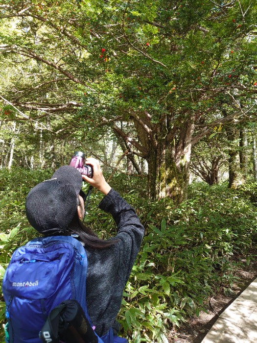 何か発見したみたい