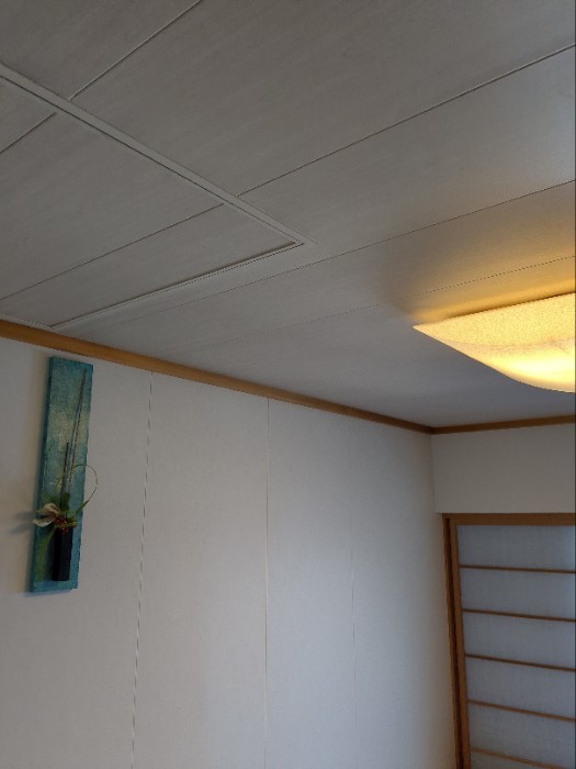 和室の壁と天井
