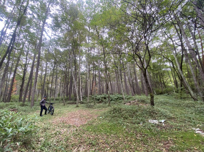 行き止まり　ハンモックおすすめ　汚い