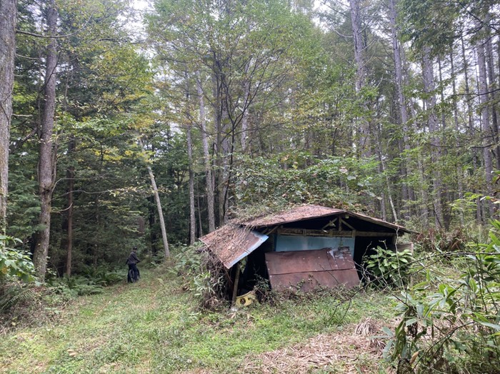 荒れている　小屋あり