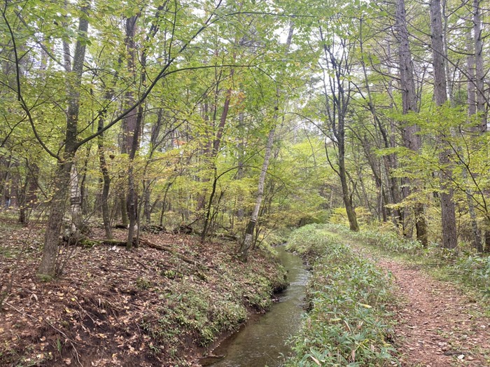 ロケーションよし