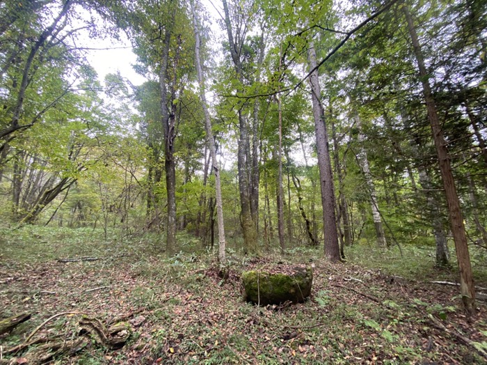 行き止まり　ハンモック休憩