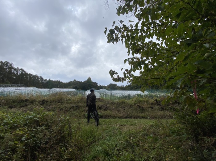 ビニールハウス