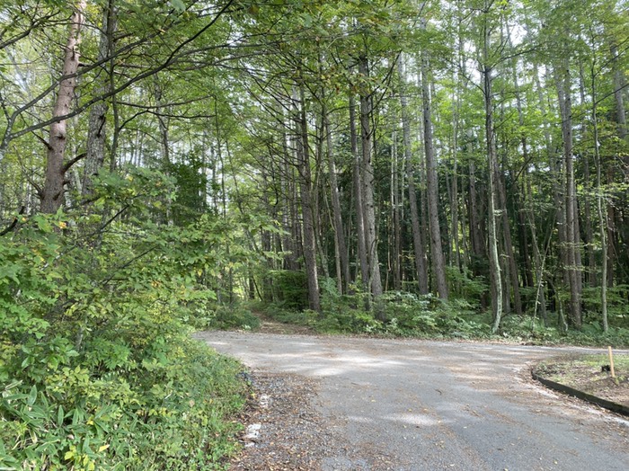 ログ取り　起点