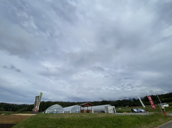 あいまり　いちご農園