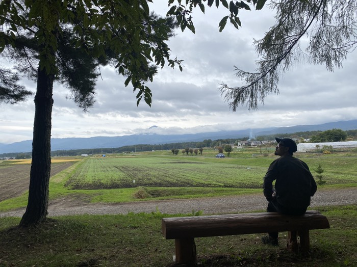 ベンチ　後ろから