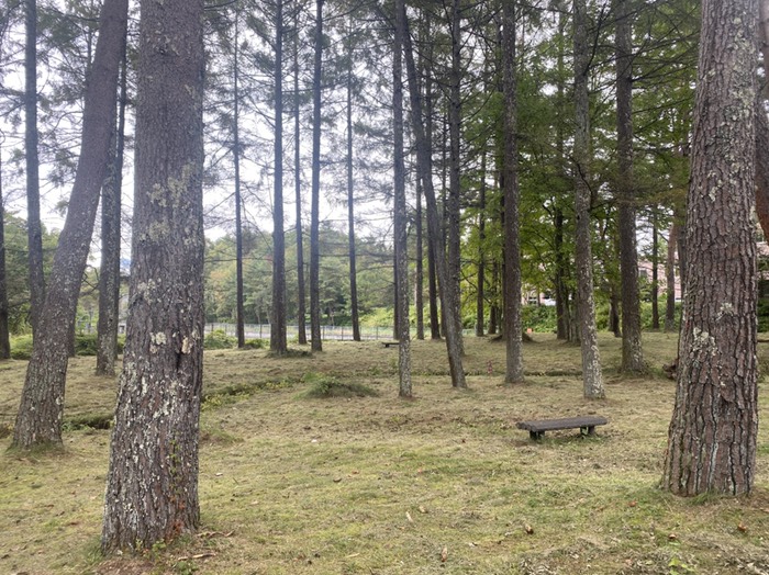 ハンモックおすすめ