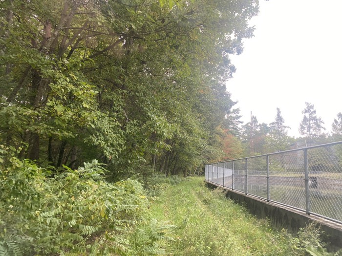 左水路　未舗装