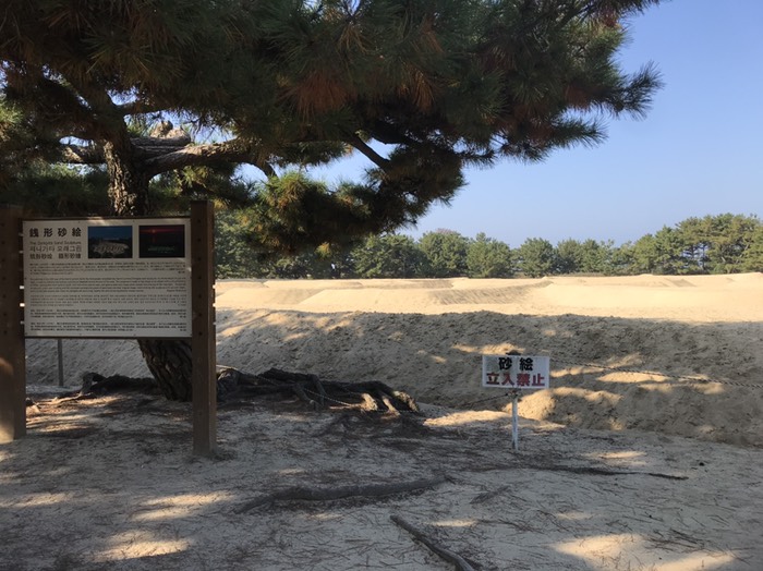 銭形砂絵　下から