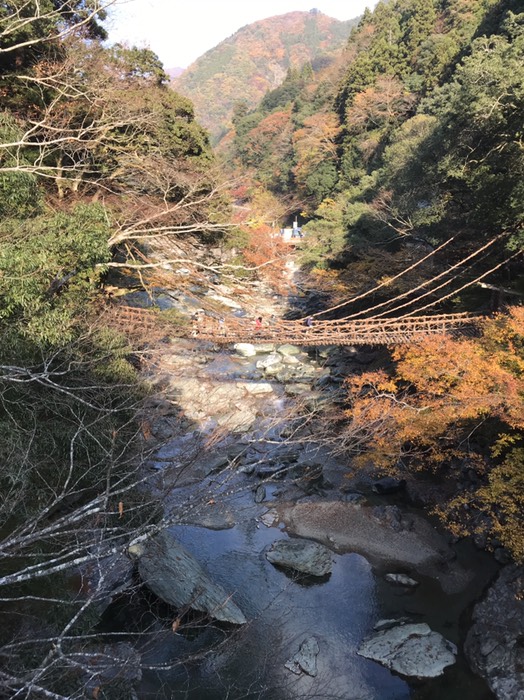 かずら橋