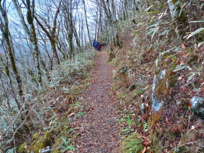 セラピーロード