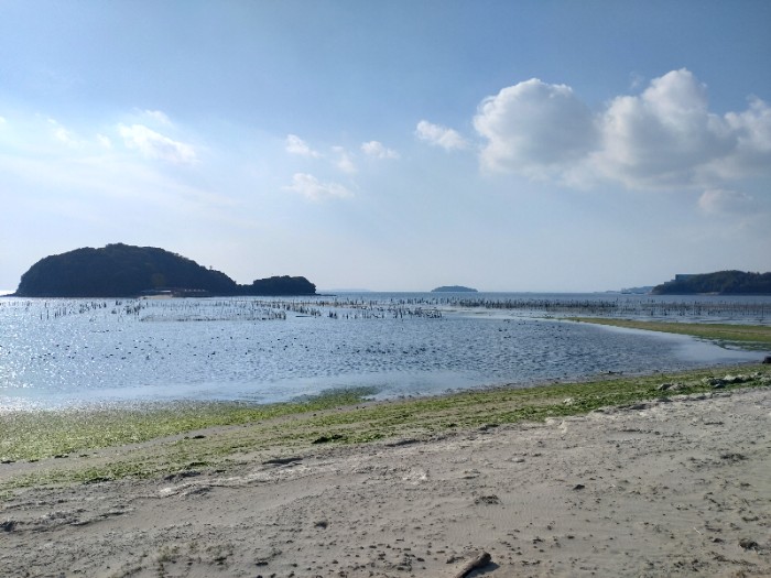 東幡豆海岸