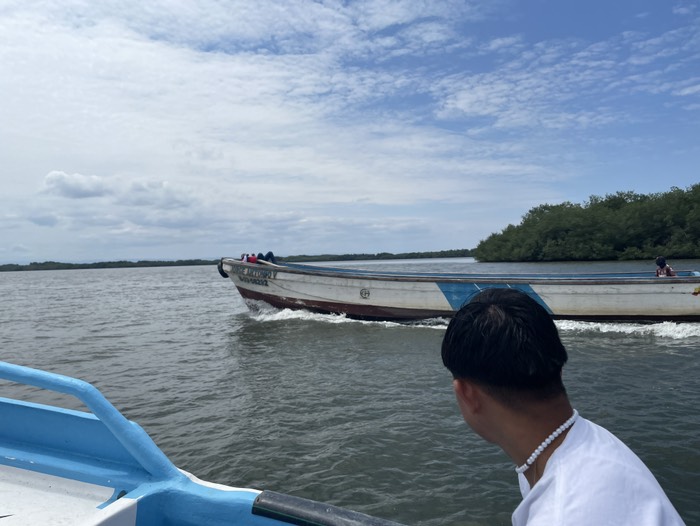 otros botes y manglar 