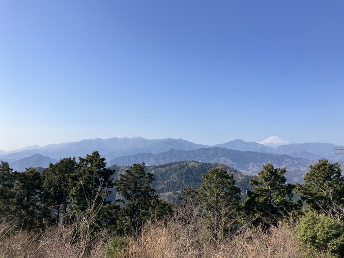 頂上からの眺め