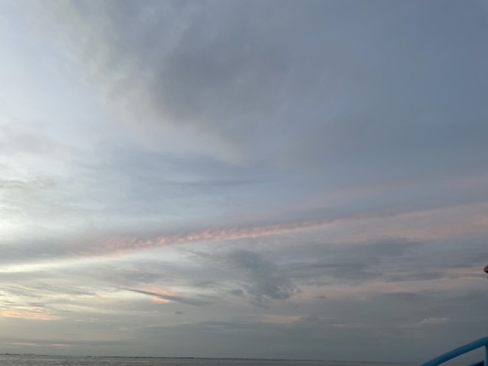 rosado desde la lancha 