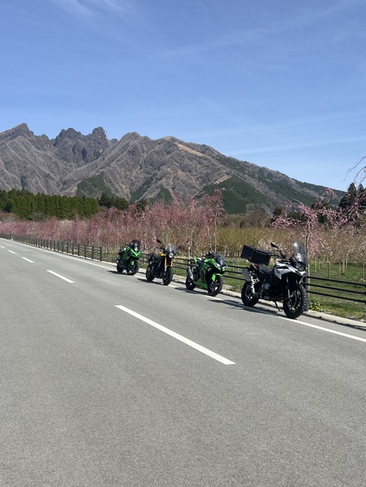 根子岳さくら通り