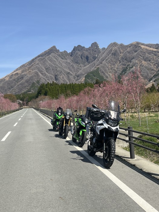 根子岳さくら通り