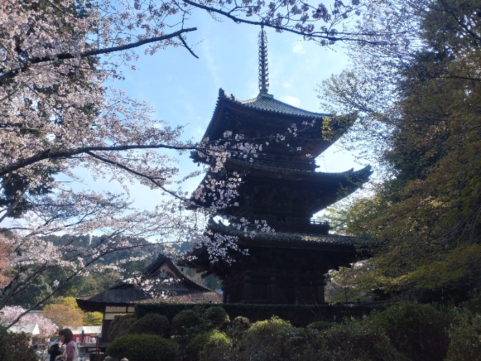 三重塔 三井寺