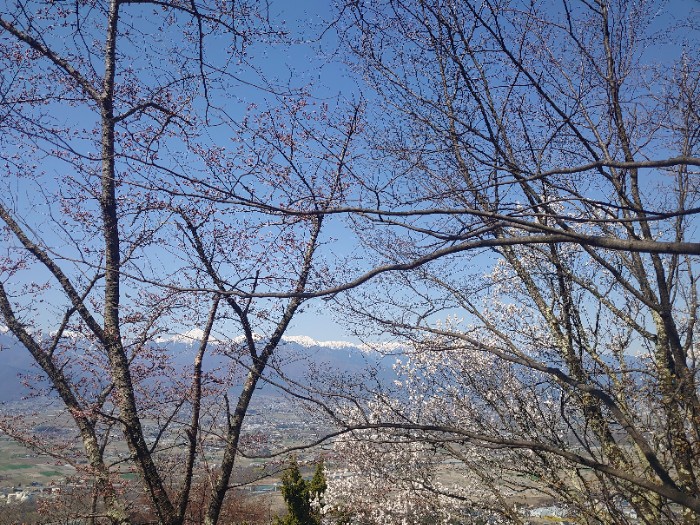 風が気持ちいい