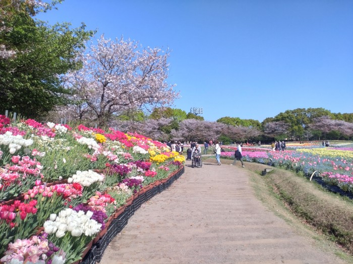 なばなの里 花ひろば
