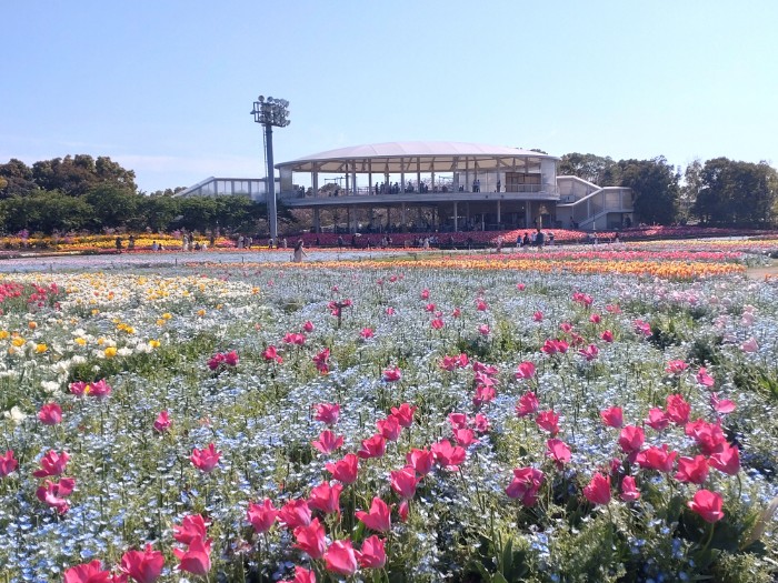 なばなの里 花ひろば