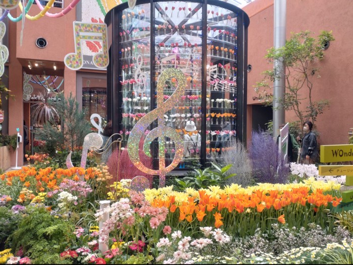 チューリップ四季彩館