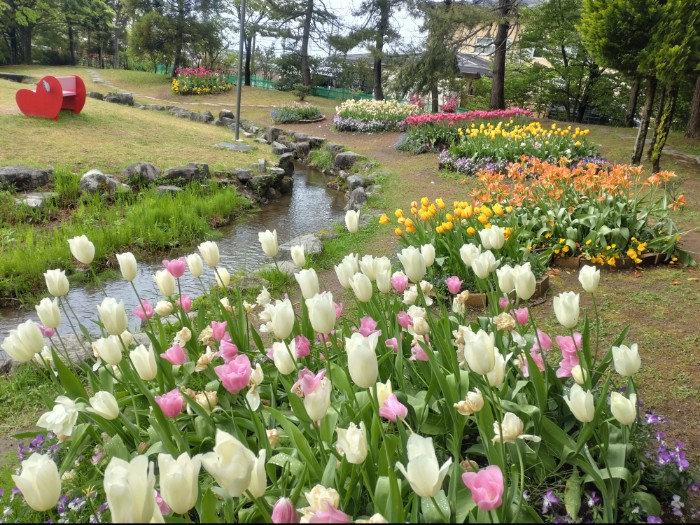 砺波チューリップ公園